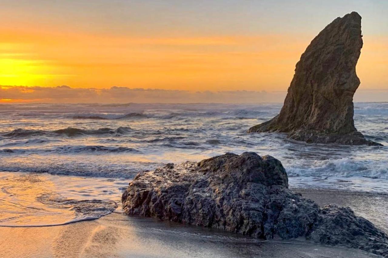 Sand Dollar Shore Fort Bragg Exterior foto